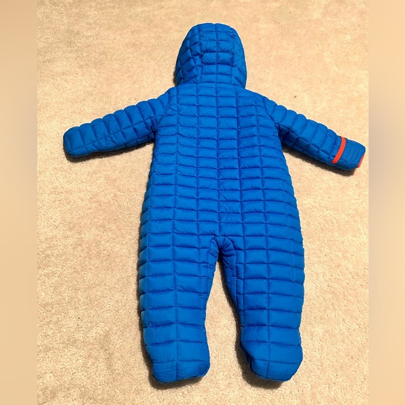 18M Snow Bunting - Picture 3 of 7